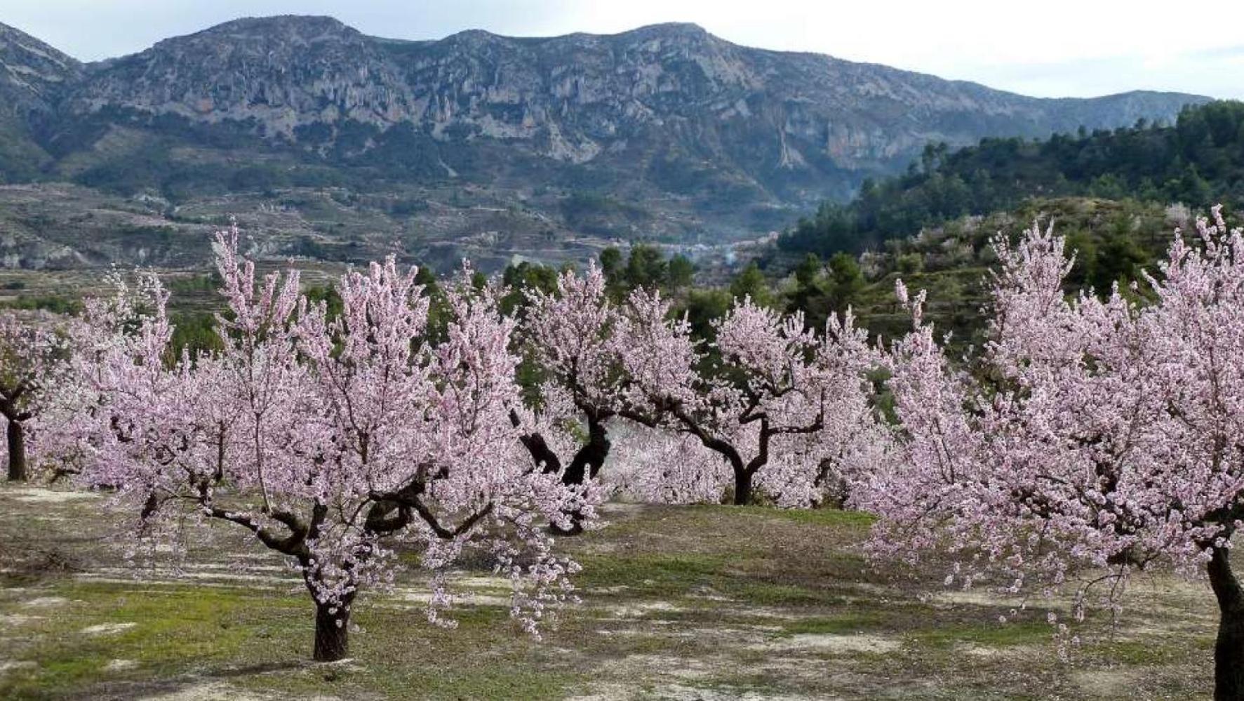 Apartamento Calaceite Torrox Bagian luar foto